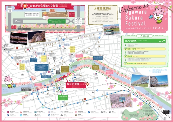 Welcome to Ogawara Sakura Festival