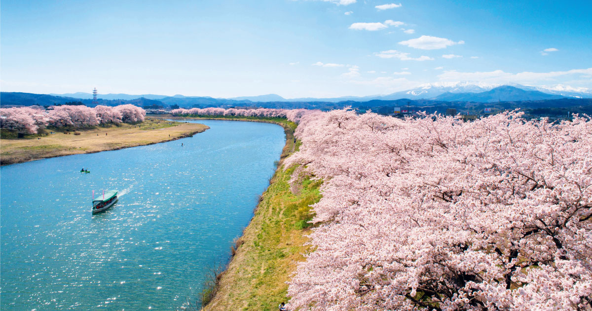 桜❀ 一目千本桜｜HITOME SENBON ZAKURA
